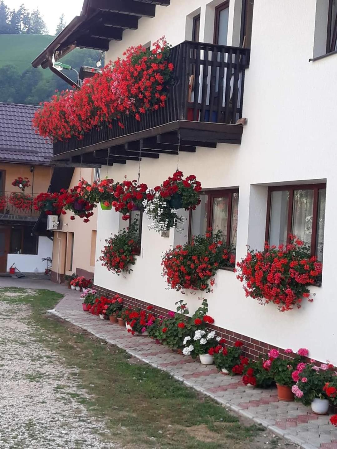 Hotel Casa Flavius Bran  Exterior foto